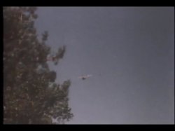Captura de 'Summer in Heat' nº 103