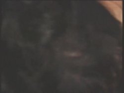 Captura de 'Party Night' nº 56