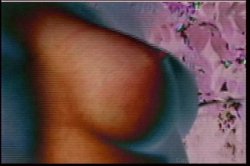 'Pussy Playhouse 2' screenshot nº 2