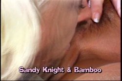 'Pussy Playhouse 2' screenshot nº 3