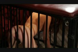 Captura de 'Bonnie Rotten's Fantasies' nº 69