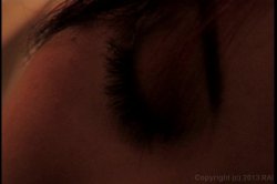 'Pussy Kat' screenshot nº 1