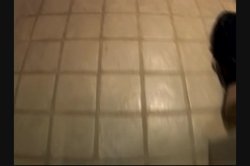 'Flower Power' screenshot nº 4