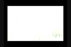 Captura de 'Broke Down Bitches 6' nº 3