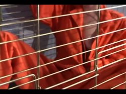 Captura de 'Jim Powers' Bitches Behind Bars' nº 127