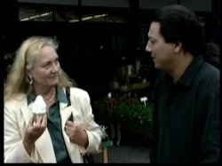 'Strassenflirts 24' screenshot nº 76