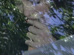 Captura de 'Making Cougars Cum' nº 94