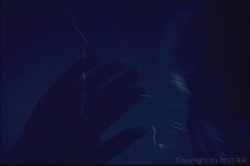 Captura de 'Strippers Need Love Too' nº 4