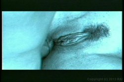 Captura de 'There's Something About Jack 2' nº 1