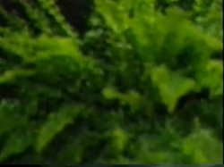 'Dangerous Desire' screenshot nº 84