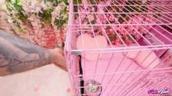 'Pink Room Ep. 37 Carmela Clutch Earns a Huge Cum Load' screenshot nº 13