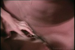 Captura de 'Award Winning Sex Scenes' nº 49