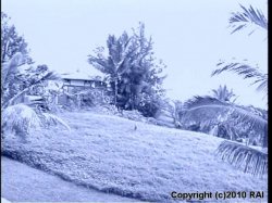 Captura de 'Dripping Wet 5: Krazy in Kauai' nº 63