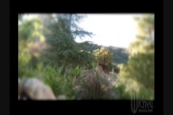 'Welcome To Tuna Town' screenshot nº 104