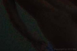 Captura de 'My Hairy POV 2' nº 45