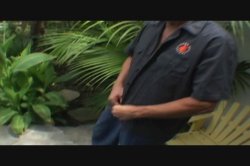 'Little Oriental Fuck Toys' screenshot nº 33