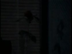 'Classic Lesbians Screw the Stars' screenshot nº 121