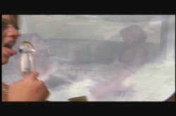 Captura de 'Toy Hungry #2' nº 17