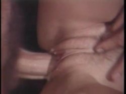 Captura de 'Nina Hartley Screws the Stars' nº 131