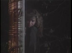 Captura de 'Nina Hartley Screws the Stars' nº 137