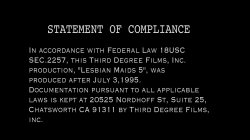 'Lesbian Maids Volume 5' screenshot nº 1