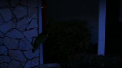 'Lesbian Ghost Stories' screenshot nº 79