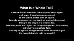 Captura de 'Whale Tail 6' nº 1