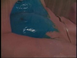 'Pussy Primer' screenshot nº 110
