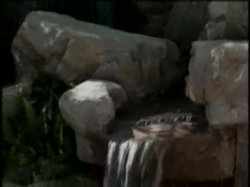 Captura de 'Ass Crunchers' nº 43