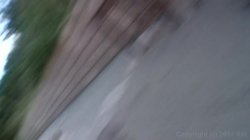 Captura de 'Half-Way House Amateurs' nº 12