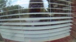 'Real Life Part 4' screenshot nº 10