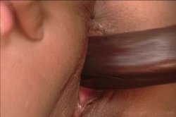 'Horny Latin Mothers 2' screenshot nº 21