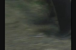 Captura de 'Trailer Trash Nurses 6' nº 128