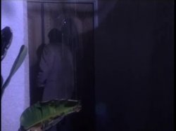 'White Lightning' screenshot nº 84