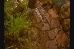 Captura de 'Club Tropixxx 2' nº 44