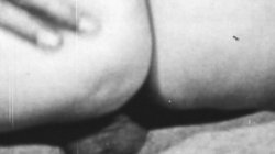 Captura de 'Seka & Buddy Hatton Suck Fuck Cumshot' nº 31