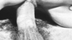 Captura de 'Seka & Buddy Hatton Suck Fuck Cumshot' nº 32