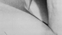 Captura de 'Seka & Buddy Hatton Suck Fuck Cumshot' nº 33