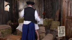 Captura de 'Good, The Bad and The Horny, The' nº 4