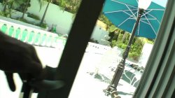 Captura de 'Nacho & His Friends Are Insatiable' nº 26