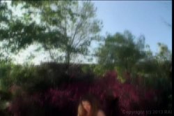 Captura de 'Hook-Ups 6' nº 102