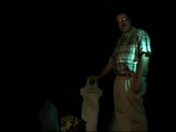 Captura de 'Boogie Down with John Holmes' nº 1