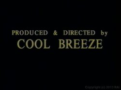 Captura de 'Blackyard Boogie 5' nº 2