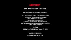 Captura de 'Babysitter's Bush 5, The' nº 1