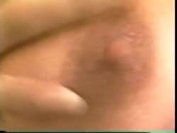 'Bob's Videos #123 - Awesome' screenshot nº 98