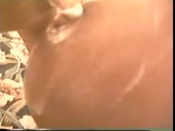 'Bob's Videos #123 - Awesome' screenshot nº 100