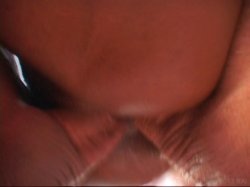 'Climaxxx TV' screenshot nº 133