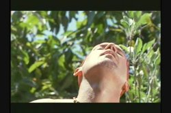 Captura de 'Nasty as I Wanna Be - Cassidey' nº 44