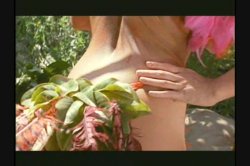 Captura de 'Nasty as I Wanna Be - Cassidey' nº 46