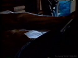 'Balls Deep in Ginger Lynn' screenshot nº 2
